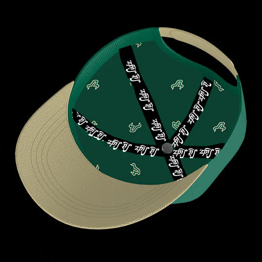 University of South Florida Bulls Varsity 6-Panel Lit Lid